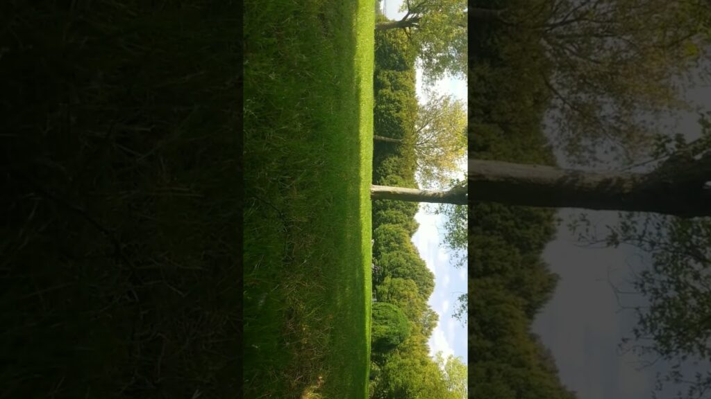 , (Champigny-sur-Marne): Le parc du Plateau champigny sur MARNE 2024 par le Hooper