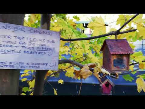Image youtube