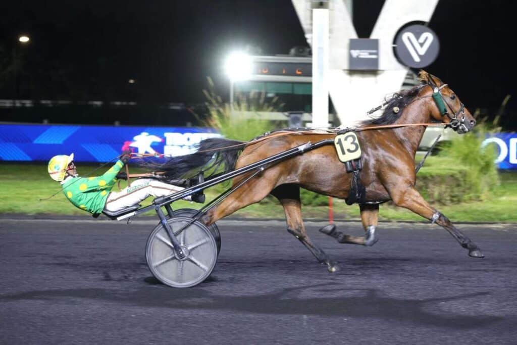 , Vincennes; Quinté+ Pmu Prix Austria à Paris-Vincennes le 25/09/2026. HALFAN SPEED, très nettement